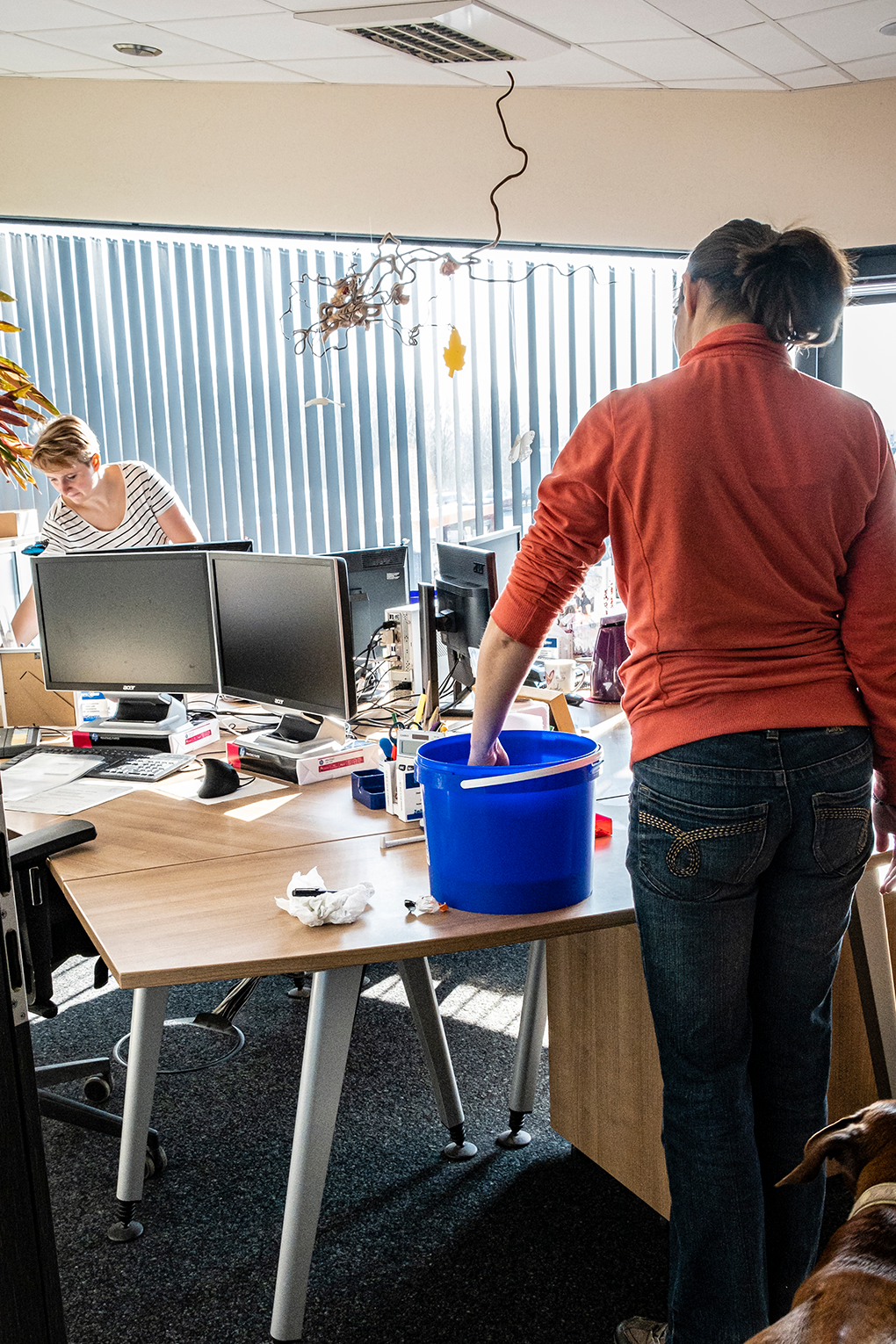 Büro wird von Mitarbeitern gründlich gereinigt für ein gesundes und freundliches Arbeitsklima.